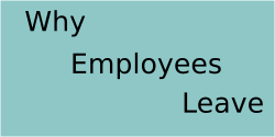 Why People Leave Their Jobs