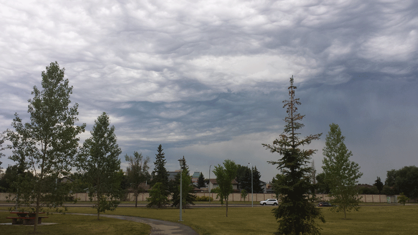 clouds terra losa park